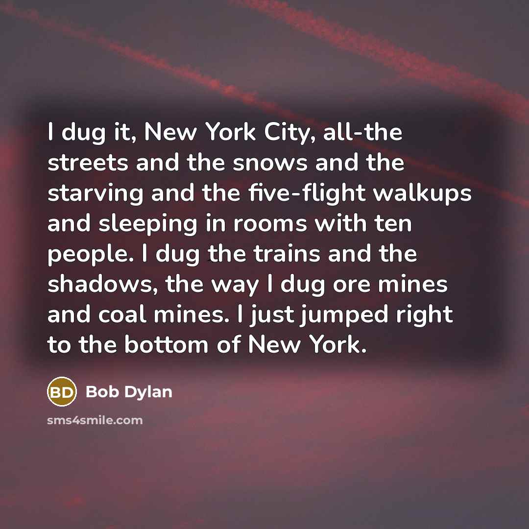 “I dug it, New York City, all-the streets and the…” quote by Bob Dylan