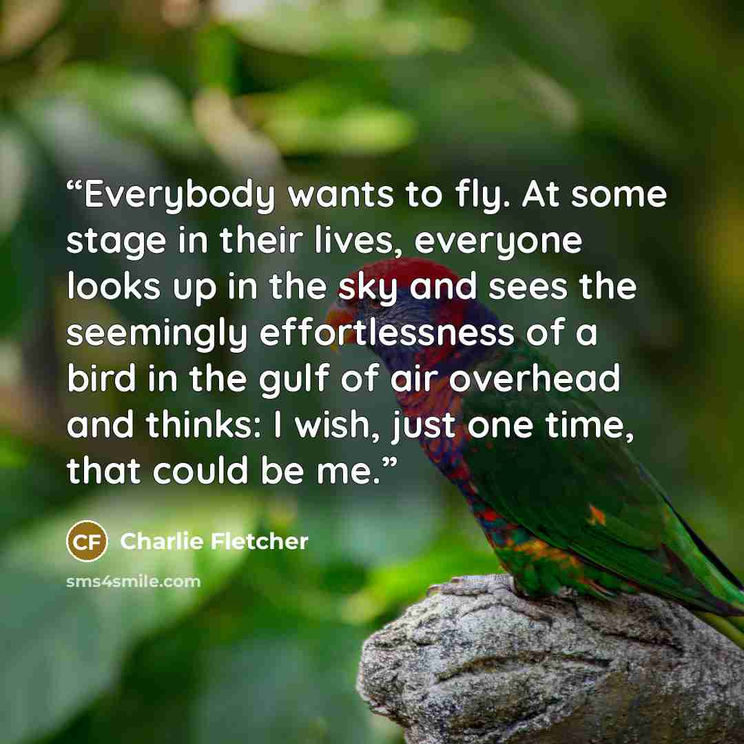 “Everybody wants to fly. At some stage in their lives, everyone looks up in the sky and sees the seemingly effortlessness of a bird in the gulf of air overhead and thinks: I wish, just one time, that could be me.” quote by Charlie Fletcher