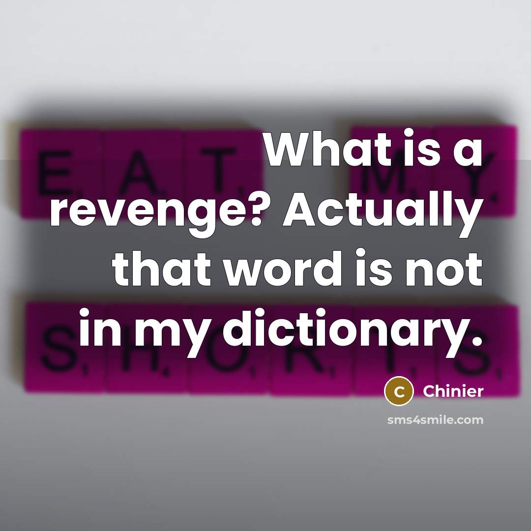 “What is a revenge? Actually that word is not in…” quote by Chinier