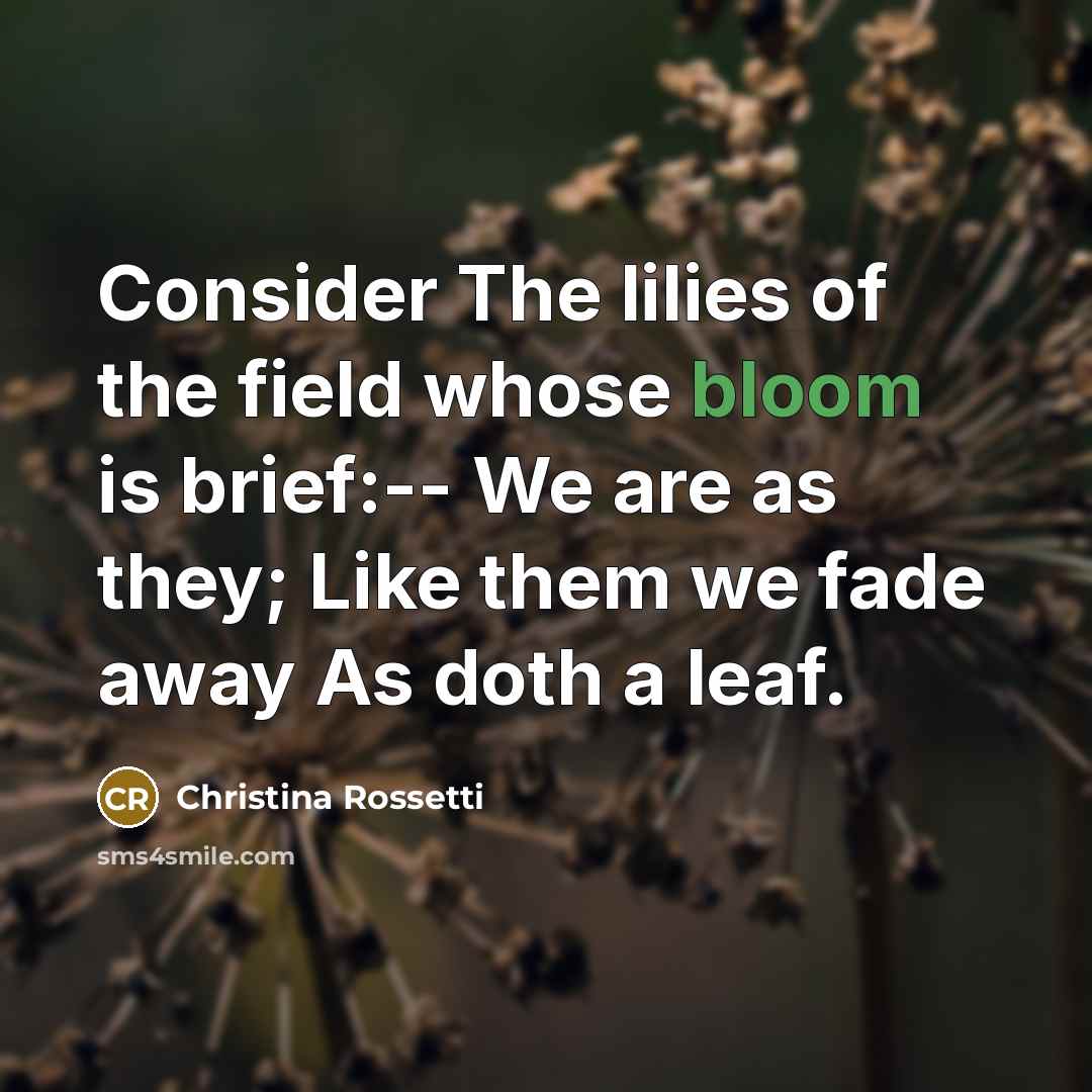 “Consider The lilies of the field whose bloom is brief:-- We are as they; Like them we fade away As doth a leaf.” quote by Christina Rossetti