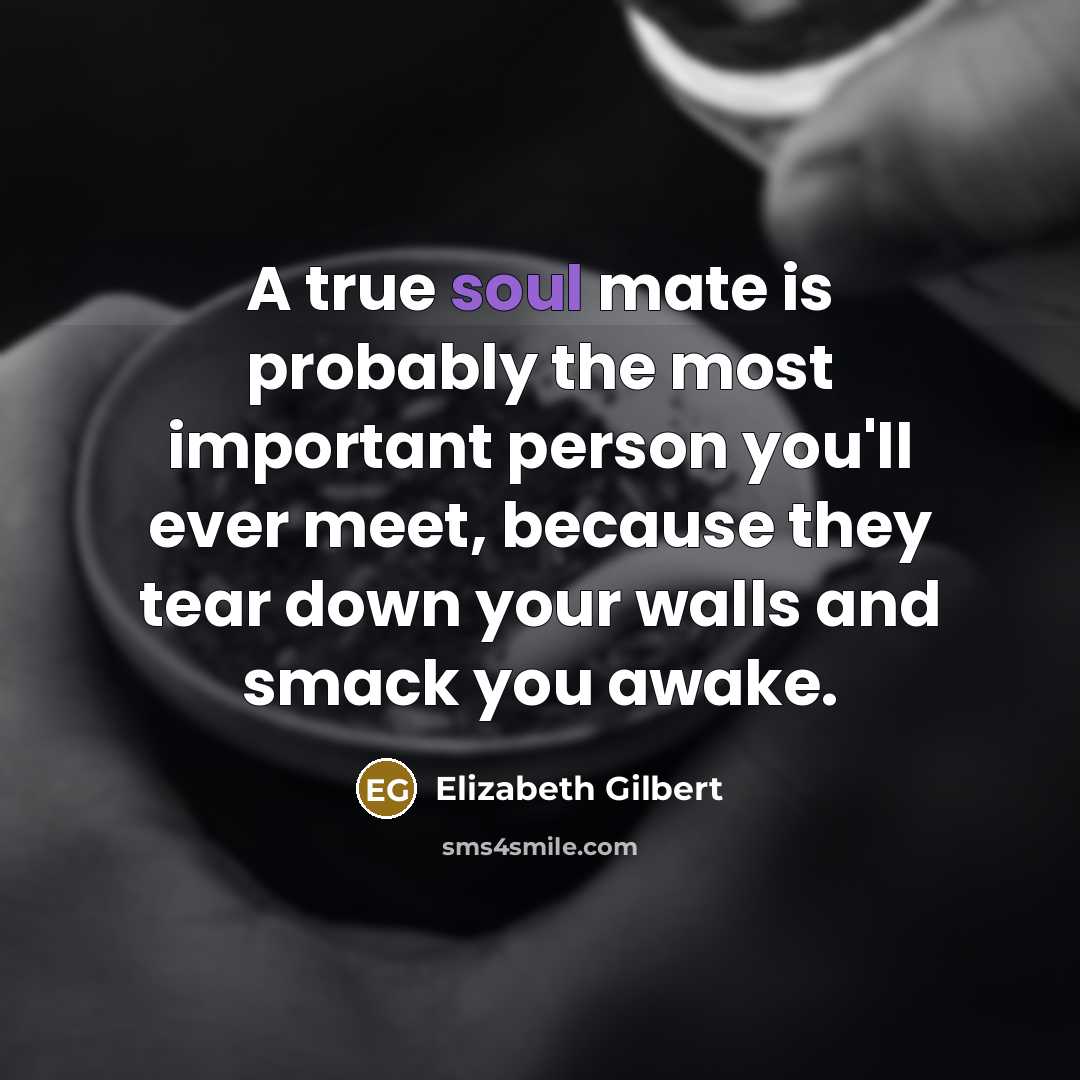 “A true soul mate is probably the most important person…” quote by Elizabeth Gilbert