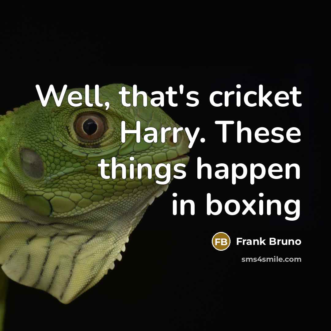 “Well, that's cricket Harry. These things happen in boxing…” quote by Frank Bruno