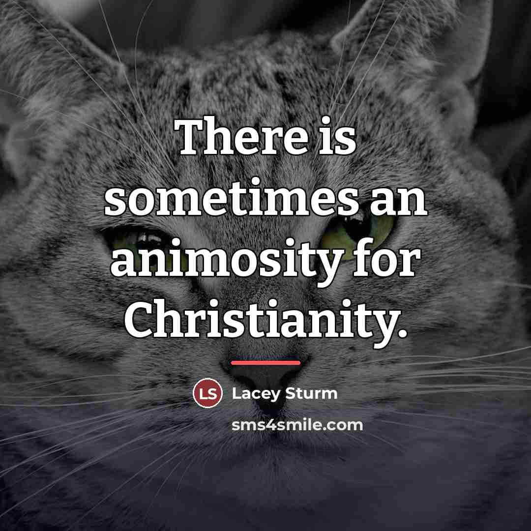 “There is sometimes an animosity for Christianity.…” quote by Lacey Sturm
