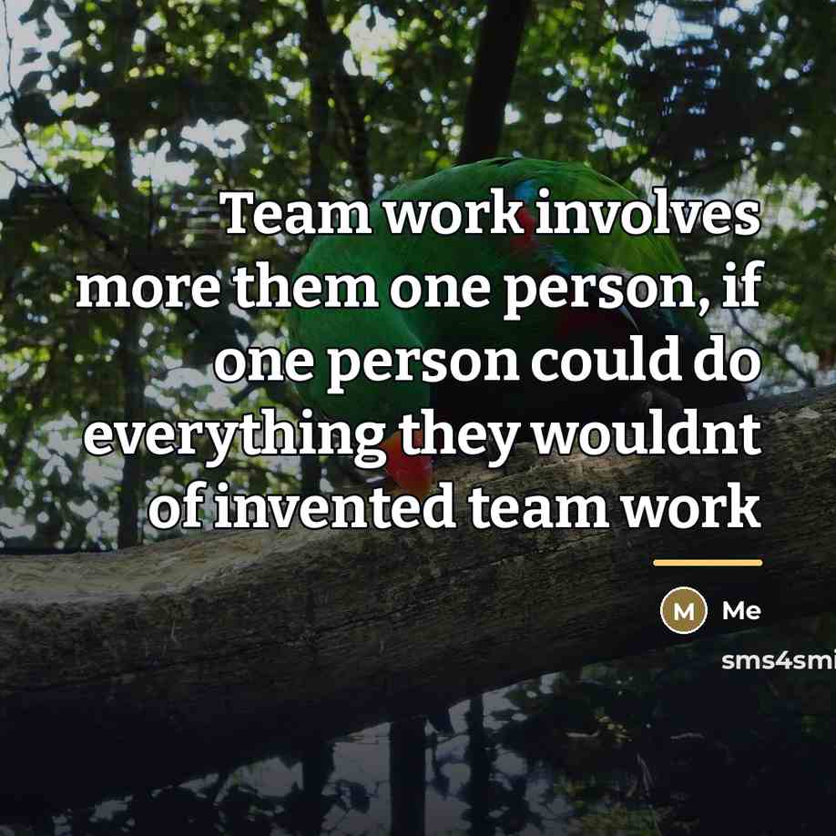 “Team work involves more them one person, if one person…” quote by ME