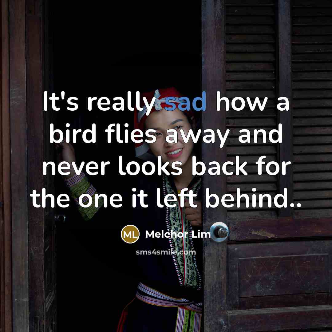 “It's really sad how a bird flies away and never…” quote by Melchor Lim