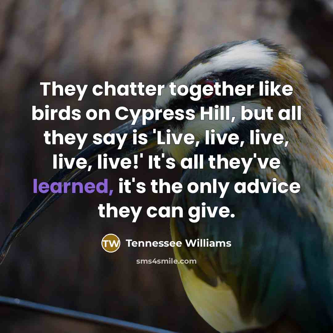 “They chatter together like birds on Cypress Hill, but all…” quote by Tennessee Williams