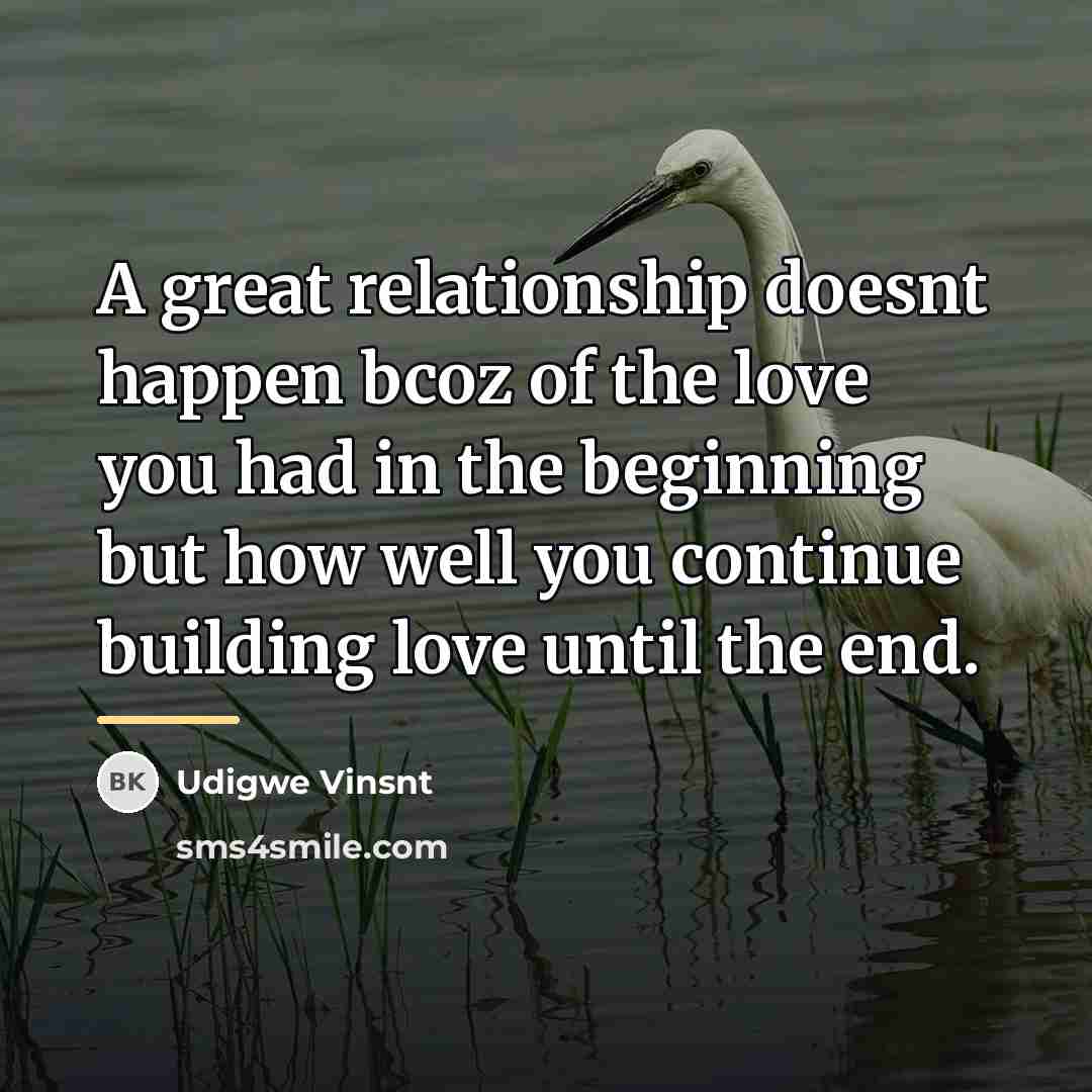 “A great relationship doesnt happen bcoz of the love you…” quote by Udigwe Vinsnt