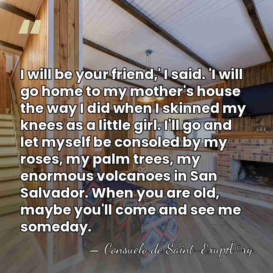 I will be your friend,' I said. 'I will go home to&hellip; - Consuelo de Saint-ExupÃ©ry