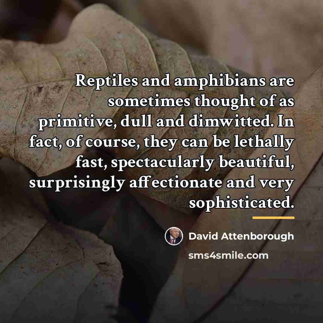 “Reptiles and amphibians are sometimes thought of as primitive, dull…” quote by David Attenborough