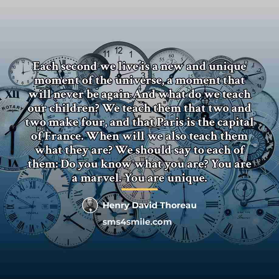“Each second we live is a new and unique moment…” quote by Henry David Thoreau