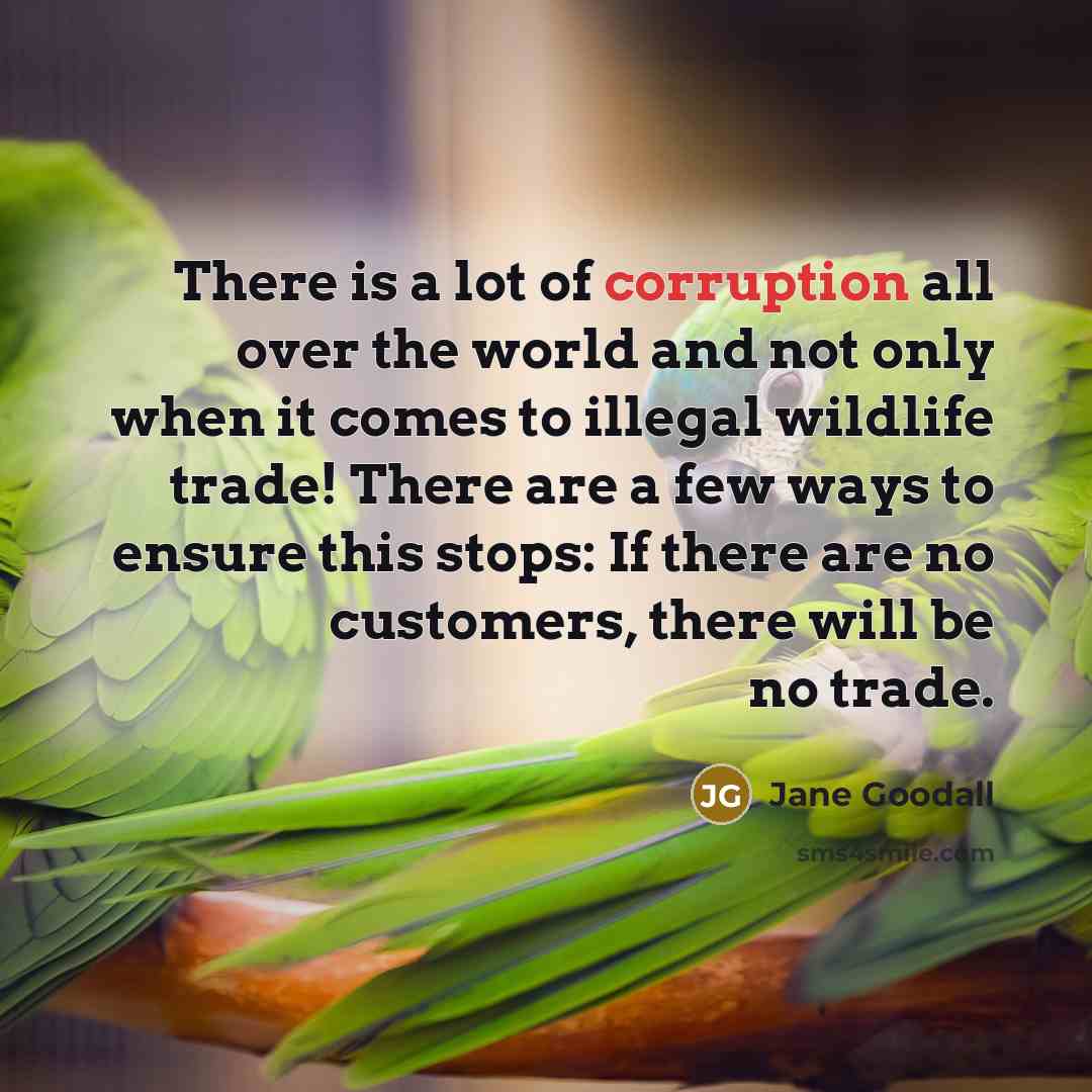 “There is a lot of corruption all over the world…” quote by Jane Goodall