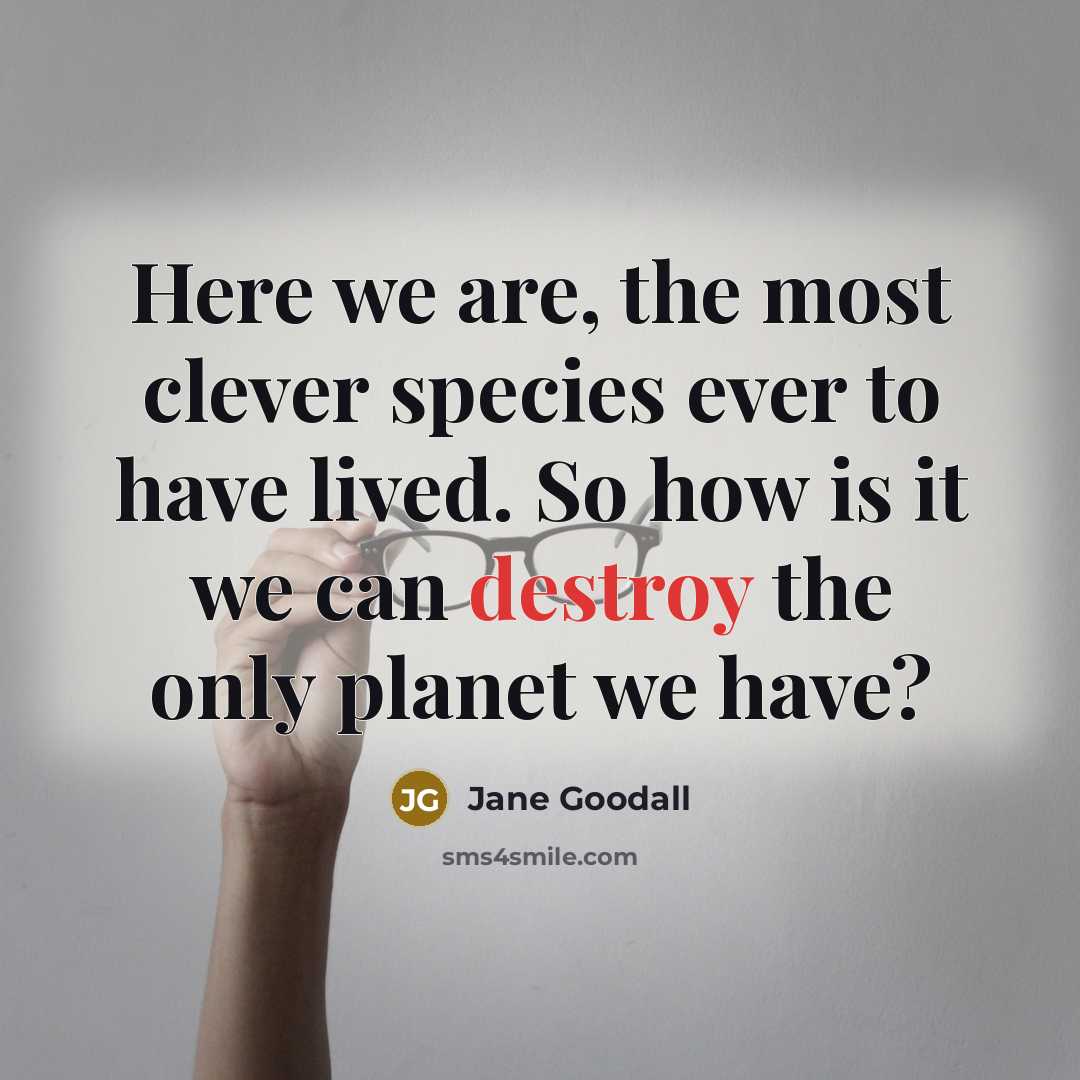 “Here we are, the most clever species ever to have…” quote by Jane Goodall