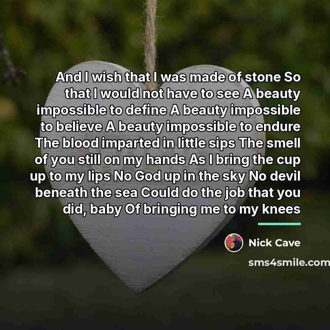 “And I wish that I was made of stone So…” quote by Nick Cave