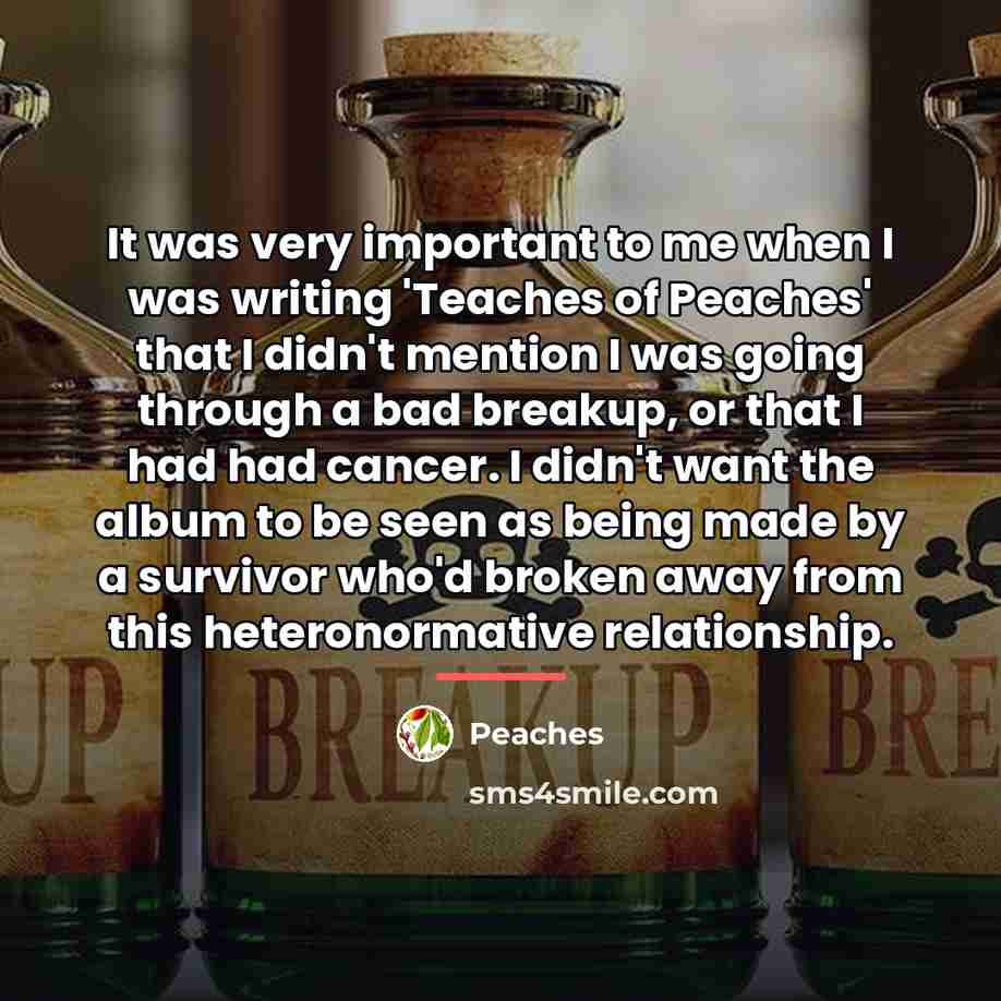 “It was very important to me when I was writing…” quote by Peaches