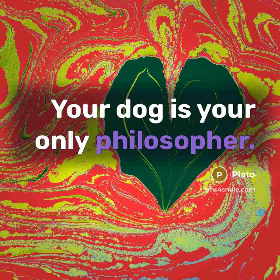 “Your dog is your only philosopher.…” quote by Plato