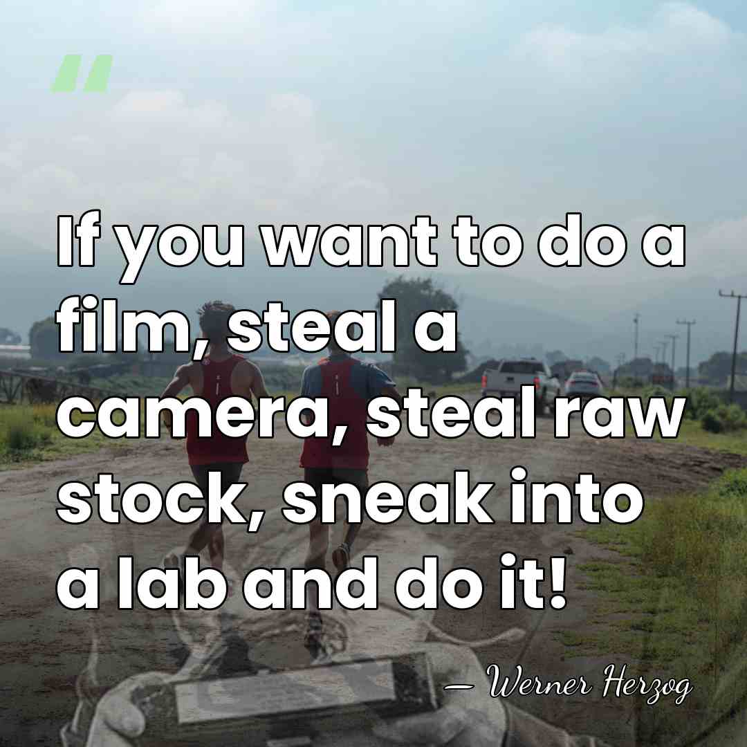 If you want to do a film, steal a camera, steal raw&hellip; - Werner Herzog