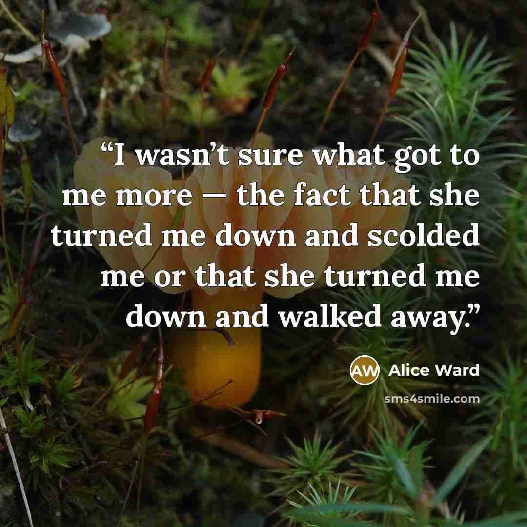“I wasn’t sure what got to me more — the fact that she turned me down and scolded me or that she turned me down and walked away.” quote by Alice Ward
