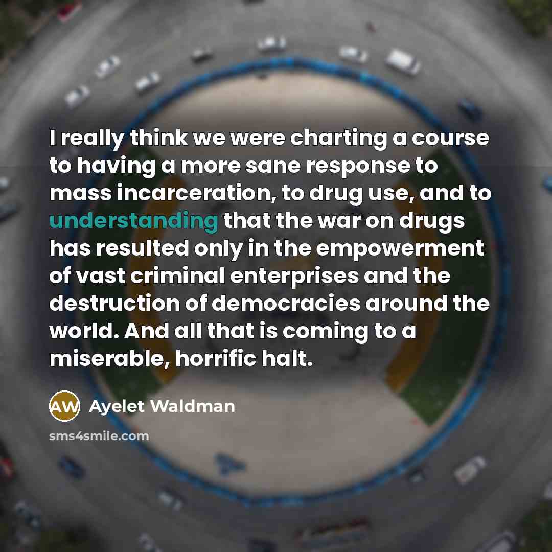 “I really think we were charting a course to having…” quote by Ayelet Waldman