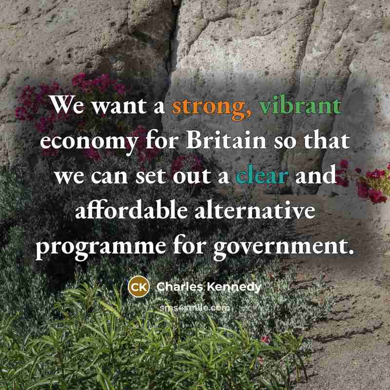 “We want a strong, vibrant economy for Britain so that we can set out a clear and affordable alternative programme for government.” quote by Charles Kennedy