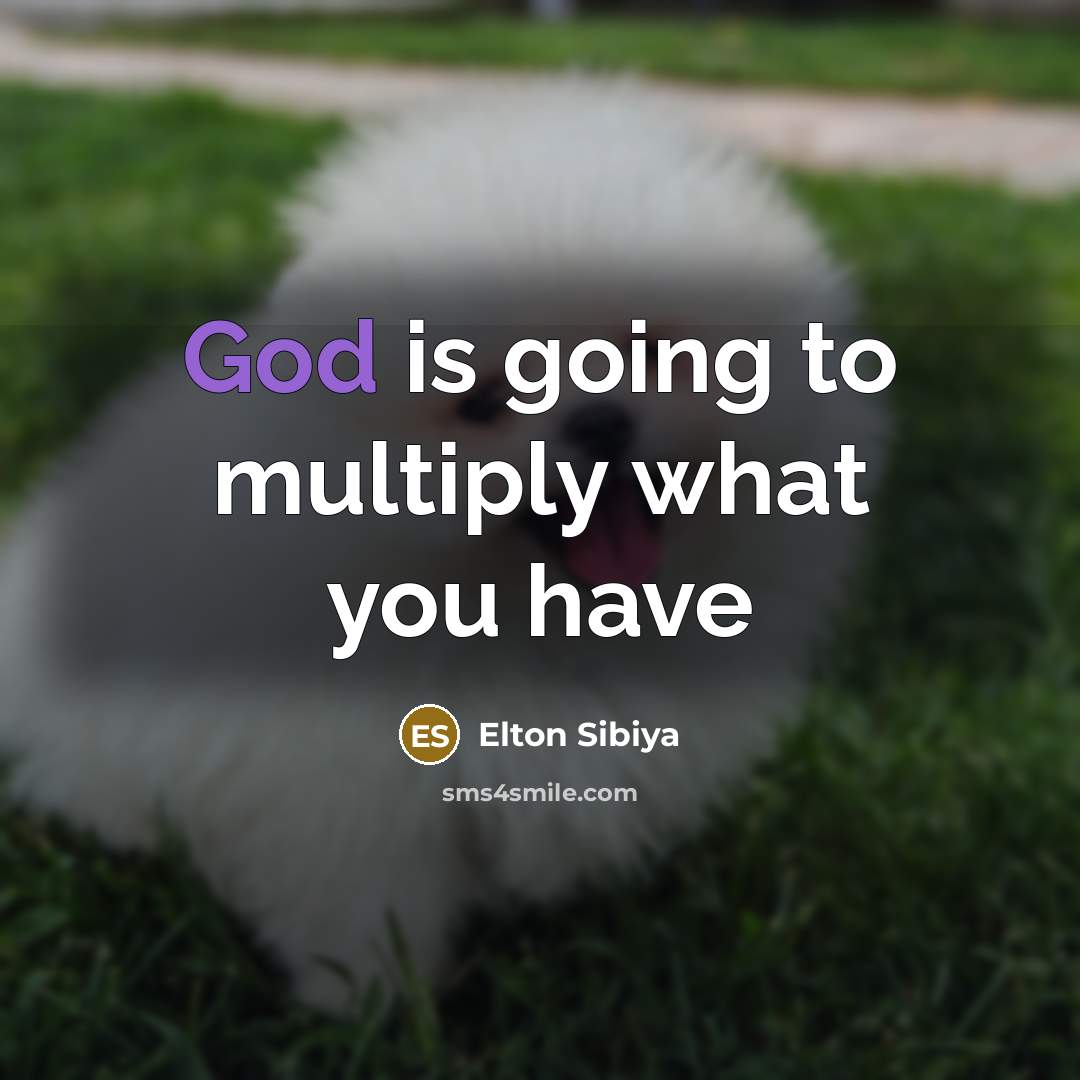 “God is going to multiply what you have…” quote by Elton Sibiya