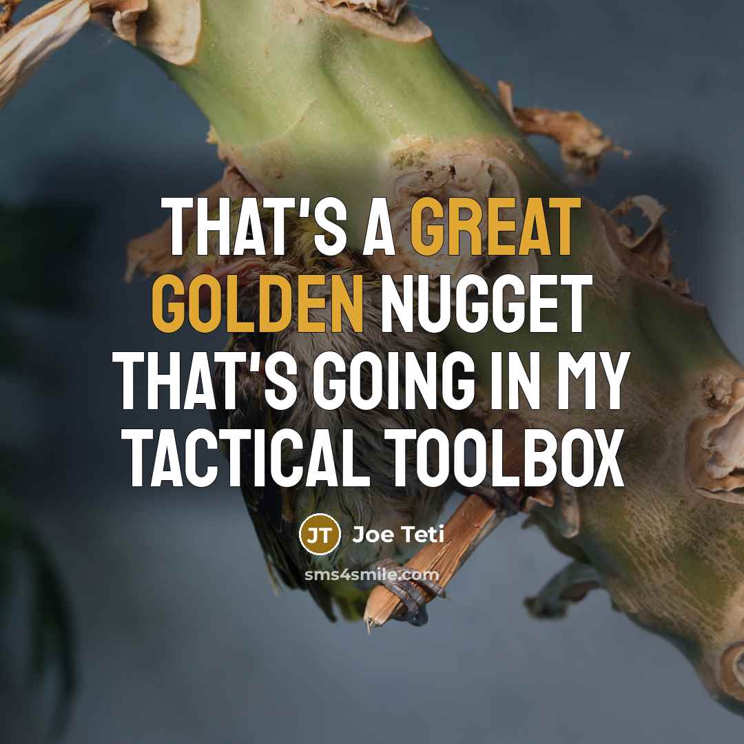 “That's a great golden nugget that's going in my tactical…” quote by Joe Teti
