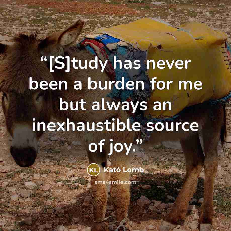 “[S]tudy has never been a burden for me but always an inexhaustible source of joy.” quote by Kató Lomb