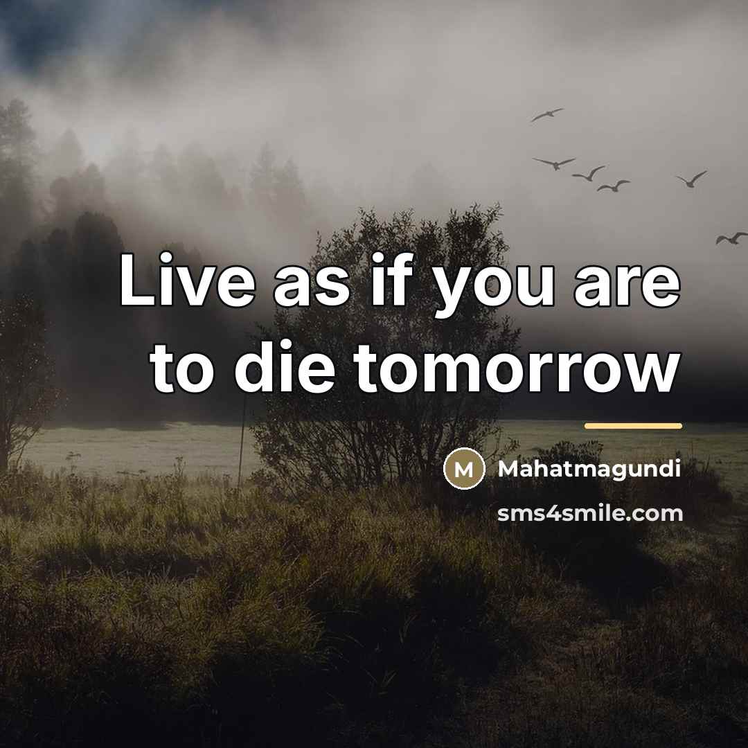 “Live as if you are to die tomorrow…” quote by Mahatmagundi