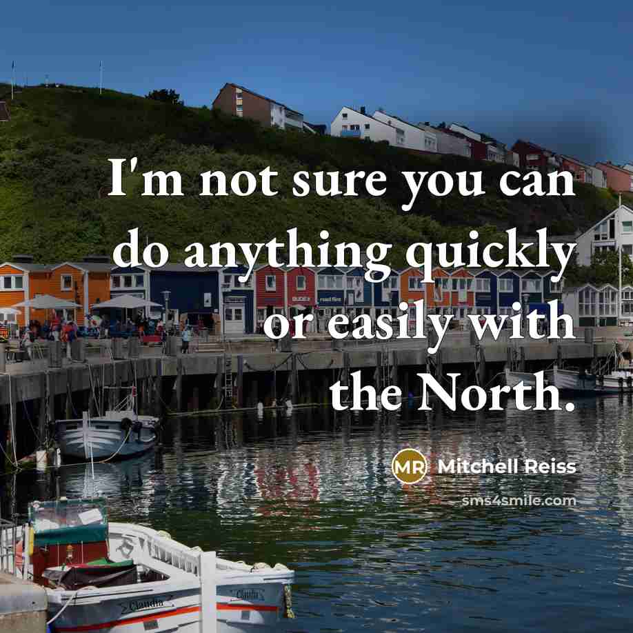 “I'm not sure you can do anything quickly or easily…” quote by Mitchell Reiss