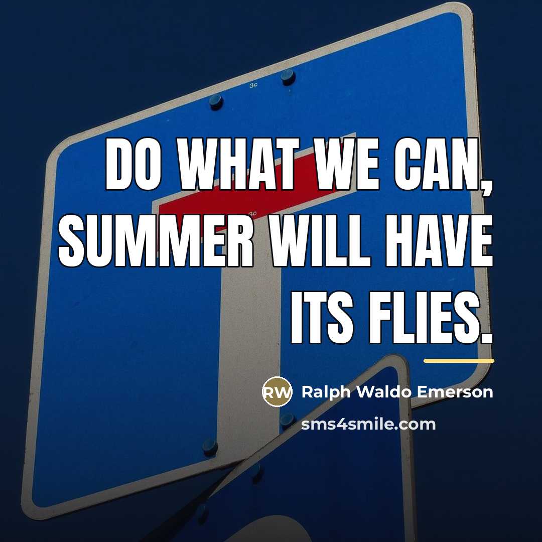 “Do what we can, summer will have its flies.…” quote by Ralph Waldo Emerson