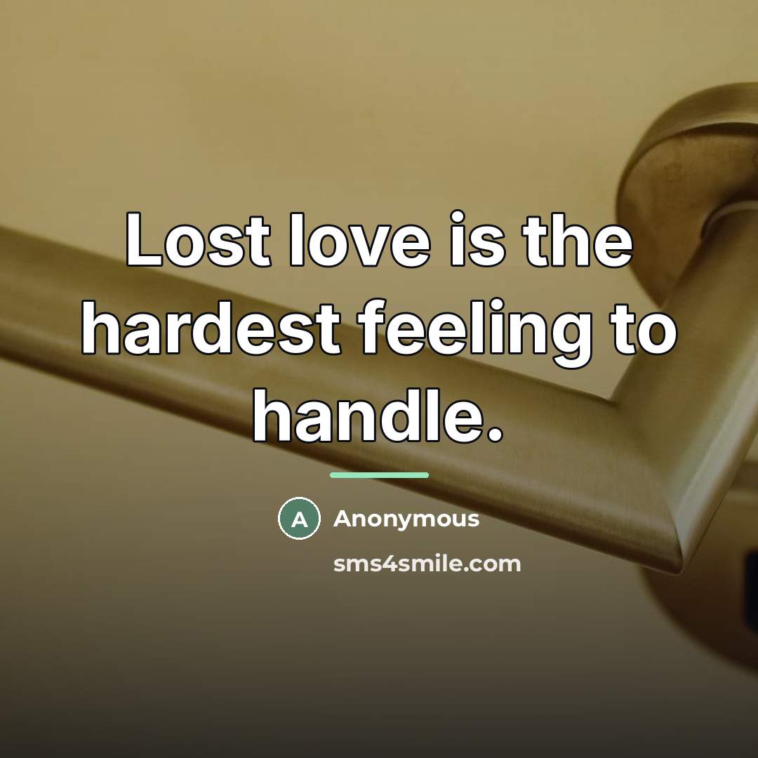 “Lost love is the hardest feeling to handle.…” quote by Anonymous