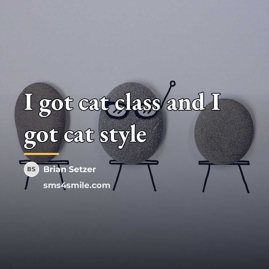 “I got cat class and I got cat style…” quote by Brian Setzer
