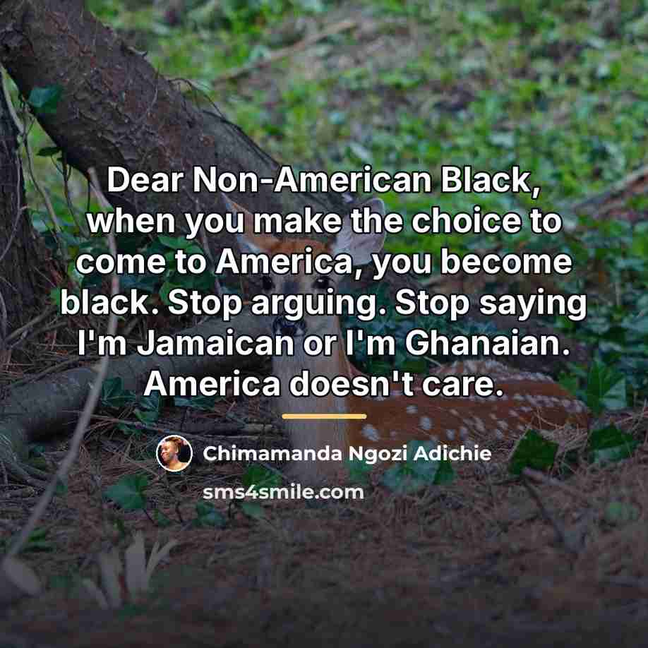 “Dear Non-American Black, when you make the choice to come…” quote by Chimamanda Ngozi Adichie
