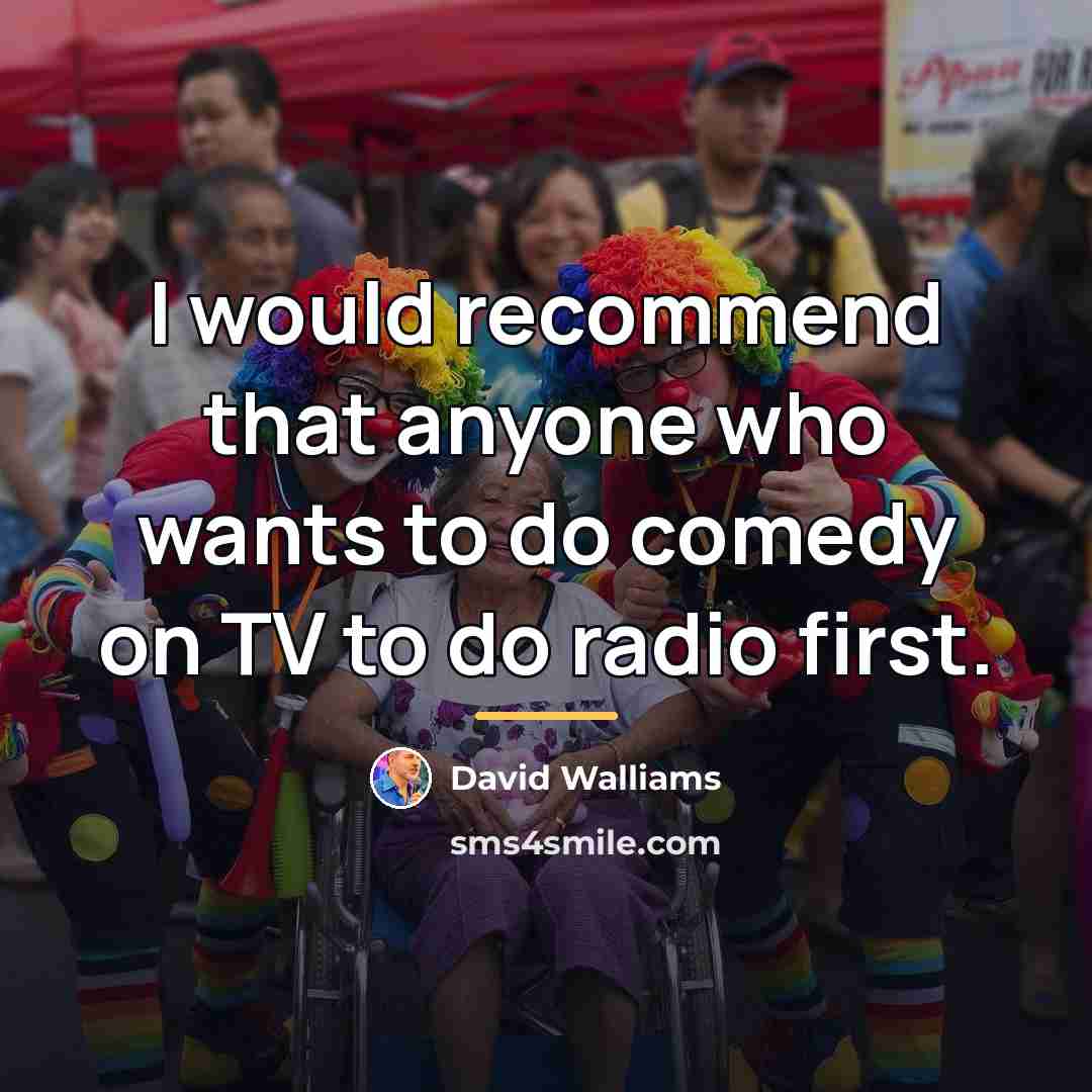 “I would recommend that anyone who wants to do comedy…” quote by David Walliams