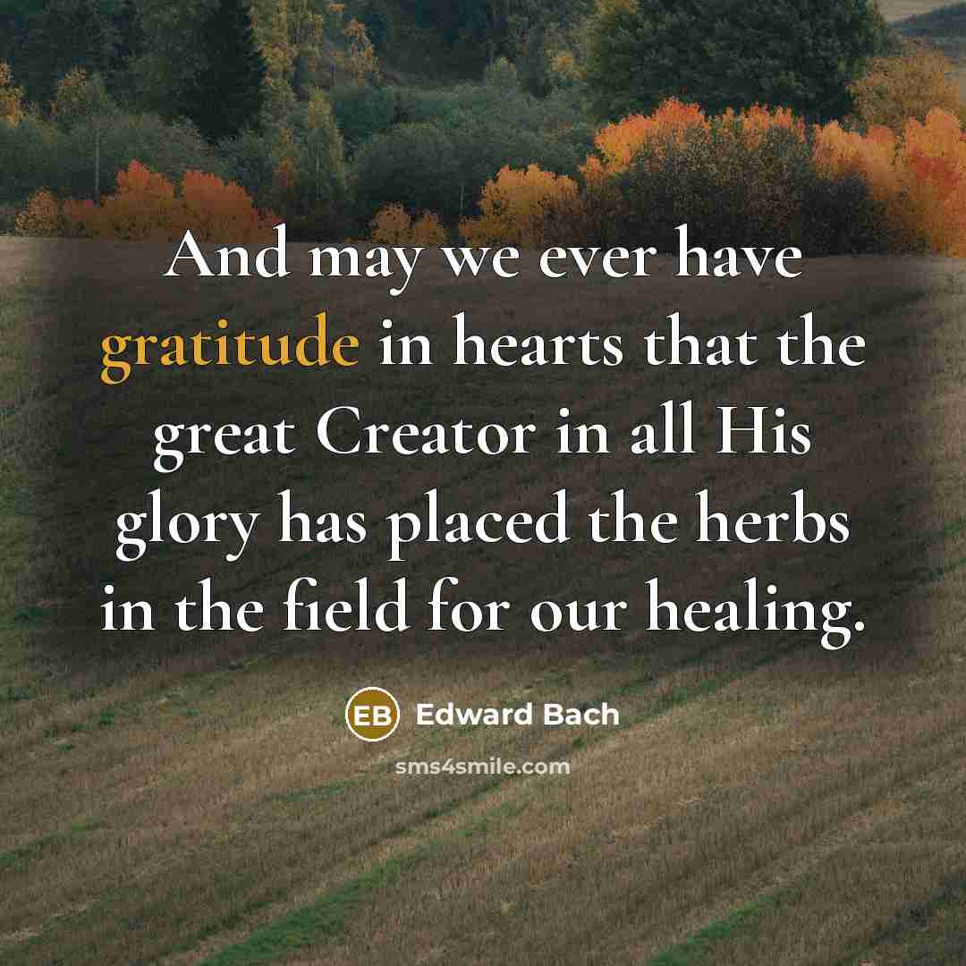 “And may we ever have gratitude in hearts that the…” quote by Edward Bach