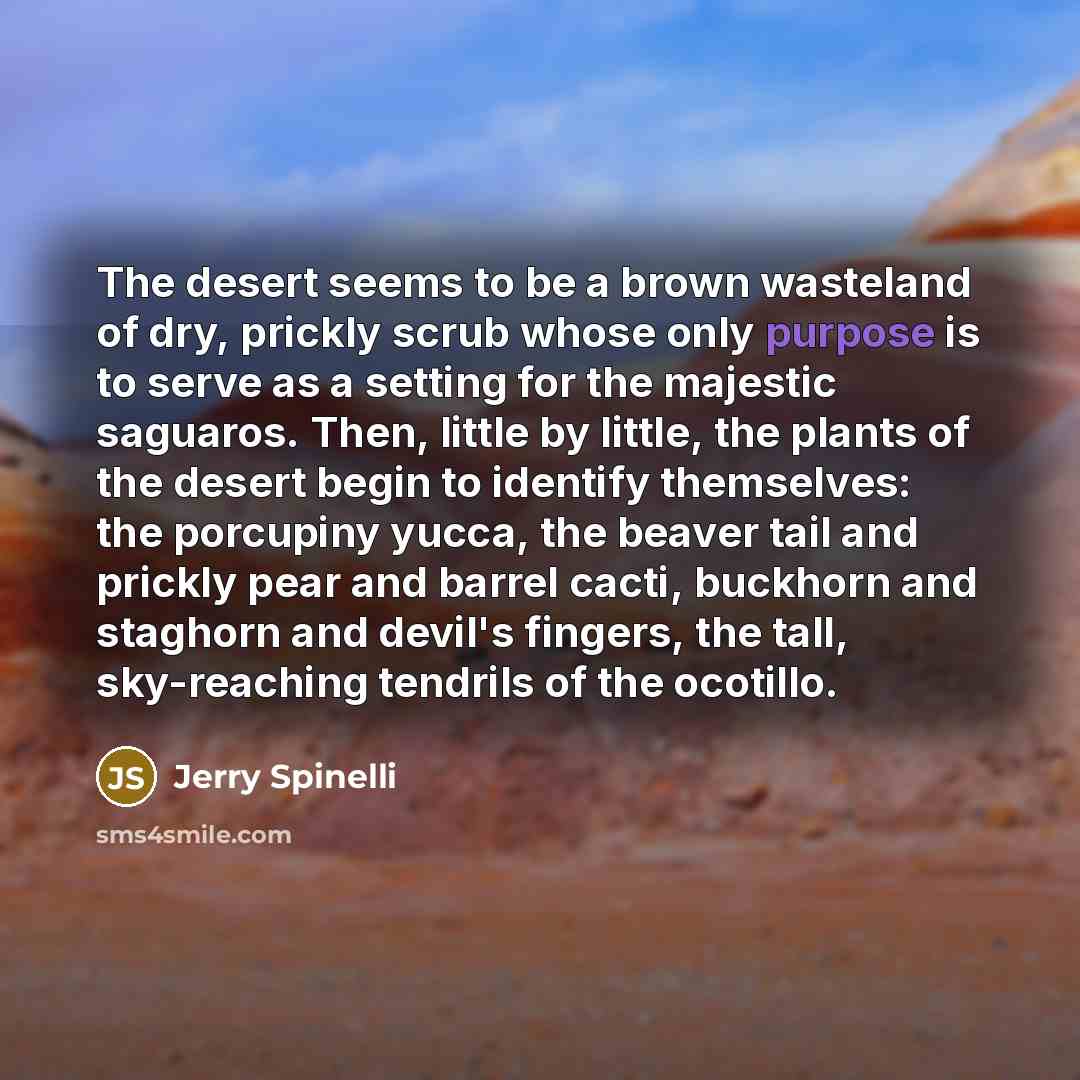 “The desert seems to be a brown wasteland of dry,…” quote by Jerry Spinelli