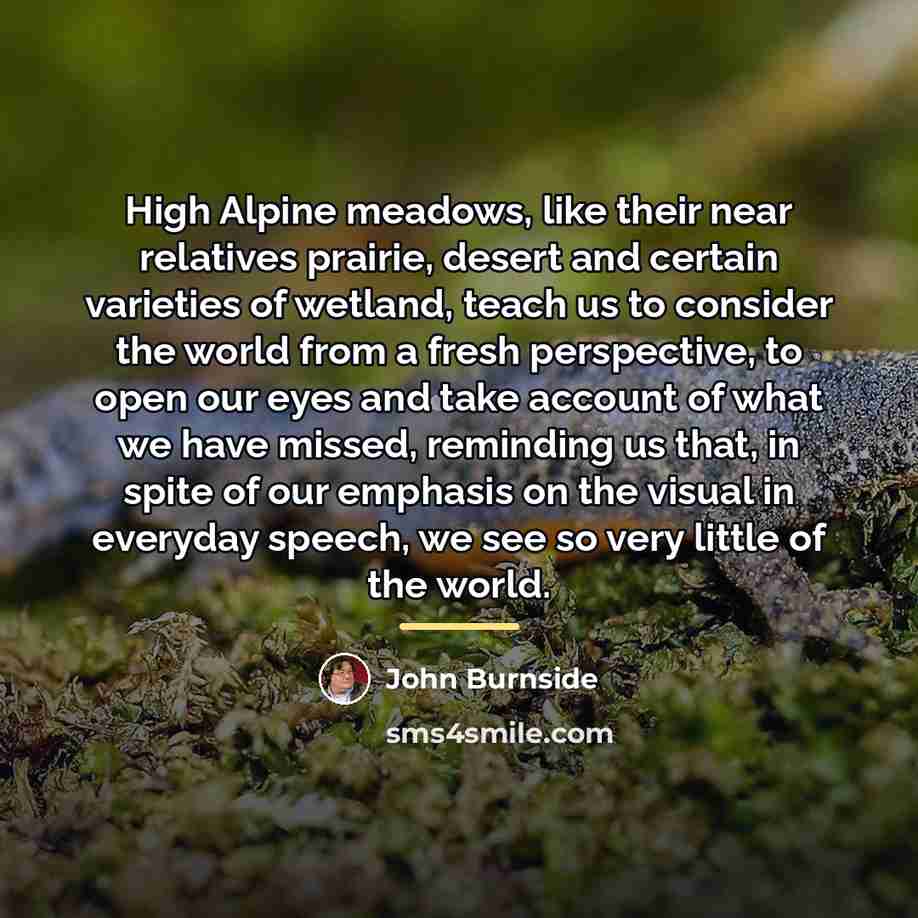 “High Alpine meadows, like their near relatives prairie, desert and…” quote by John Burnside