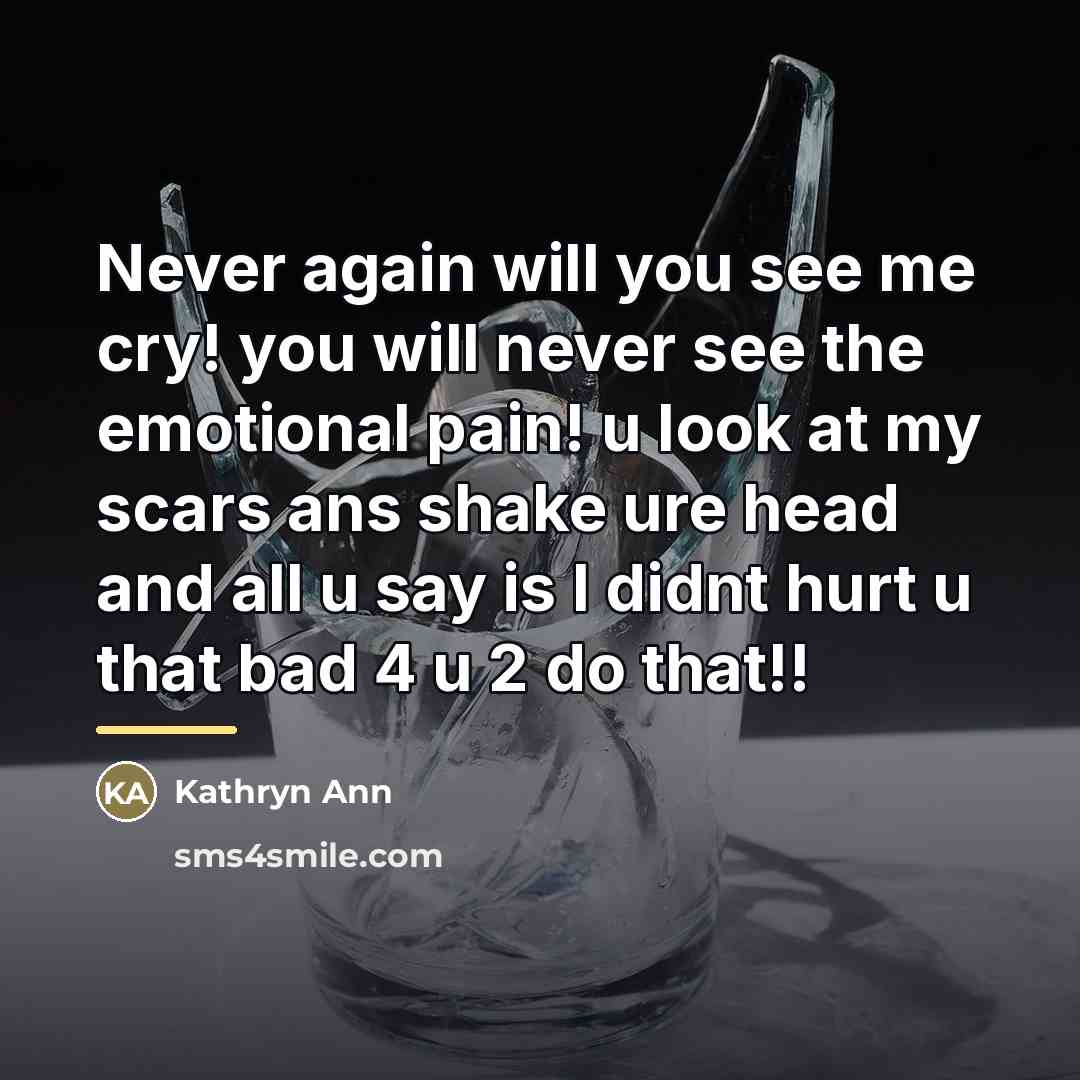 “Never again will you see me cry! you will never…” quote by Kathryn Ann