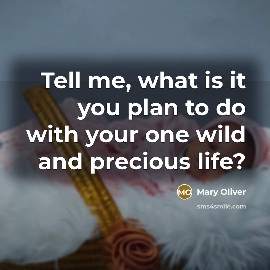 “Tell me, what is it you plan to do with…” quote by Mary Oliver