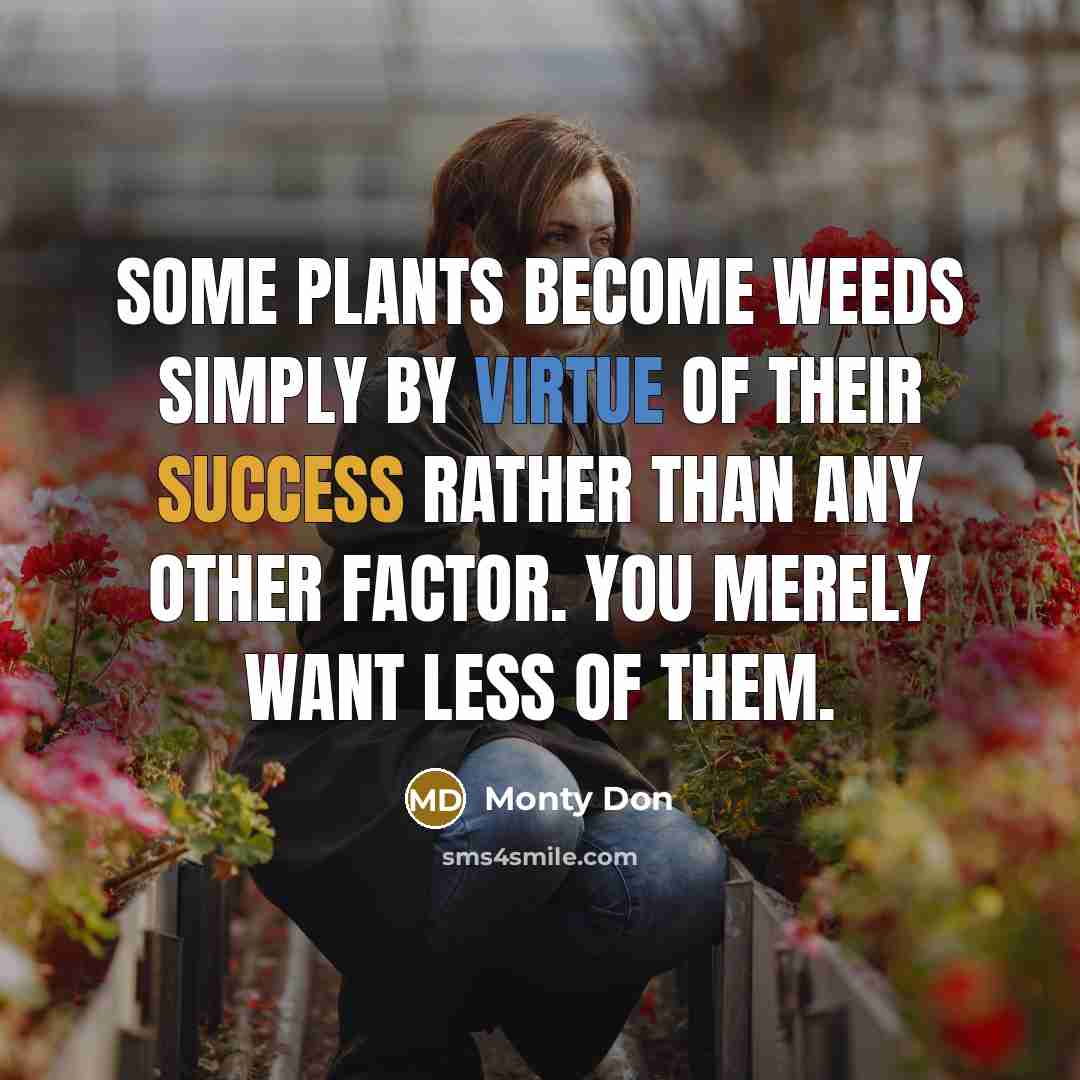 “Some plants become weeds simply by virtue of their success…” quote by Monty Don