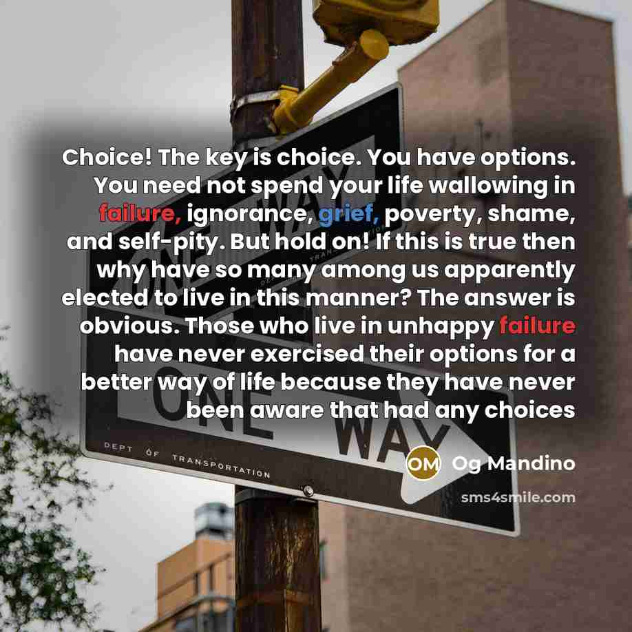 “Choice! The key is choice. You have options. You need…” quote by Og Mandino