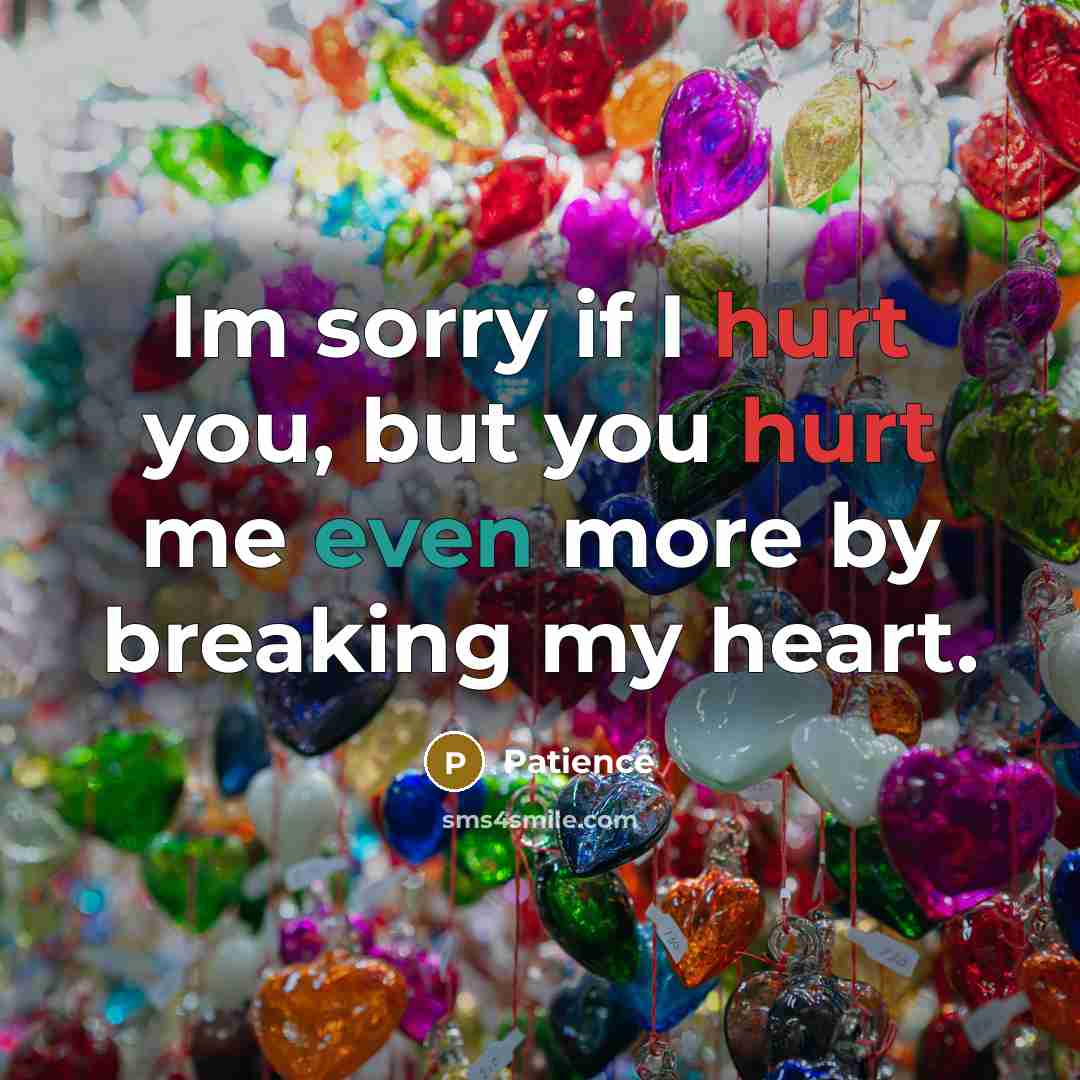 “Im sorry if I hurt you, but you hurt me even more by breaking my heart.” quote by Patience
