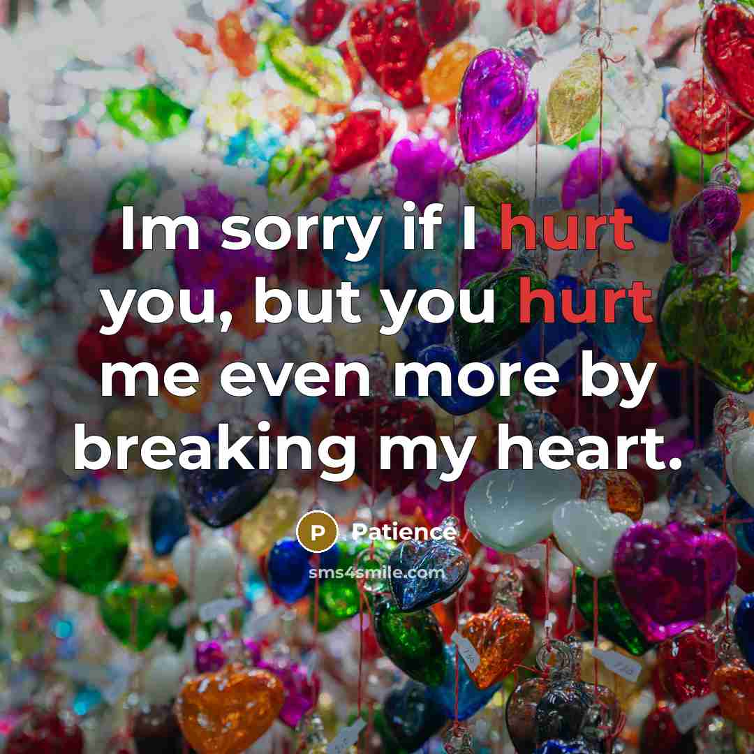 “Im sorry if I hurt you, but you hurt me…” quote by Patience