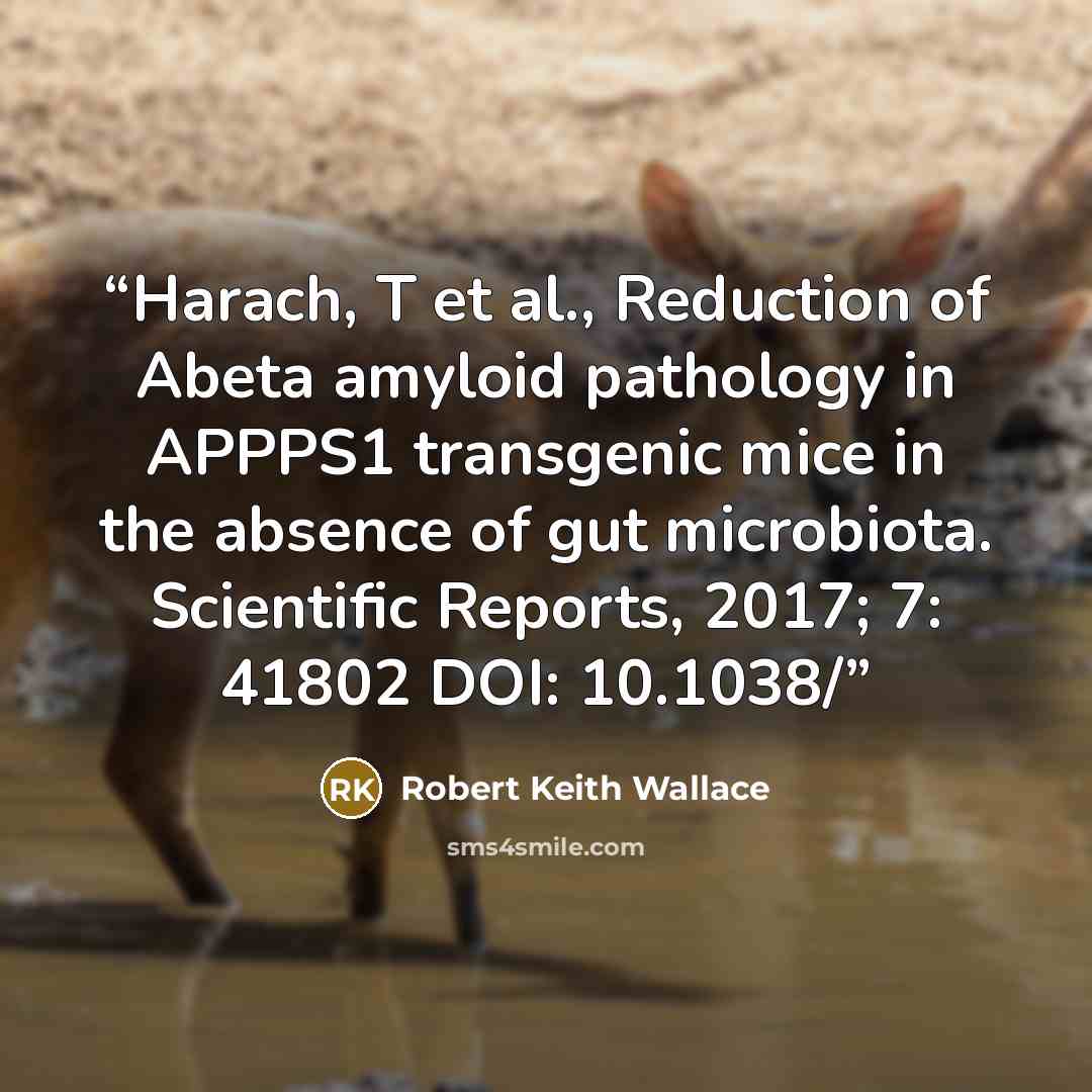 “Harach, T et al., Reduction of Abeta amyloid pathology in APPPS1 transgenic mice in the absence of gut microbiota. Scientific Reports, 2017; 7: 41802 DOI: 10.1038/” quote by Robert Keith Wallace