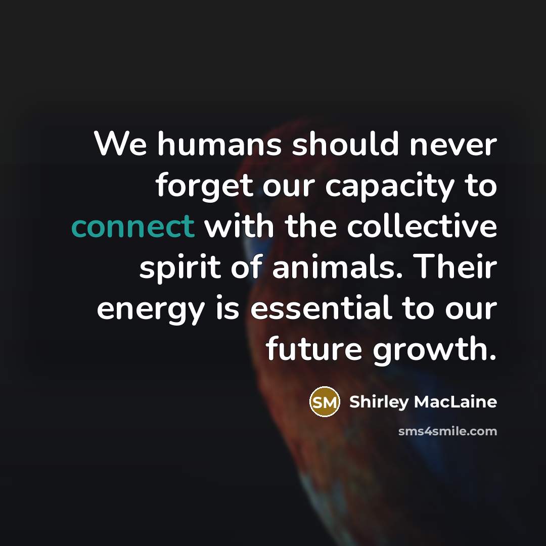 “We humans should never forget our capacity to connect with…” quote by Shirley MacLaine