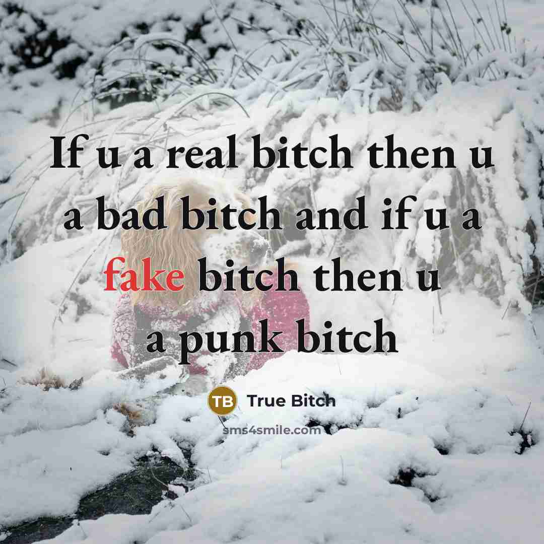 “If u a real bitch then u a bad bitch and if u a fake bitch then u a punk bitch” quote by True Bitch