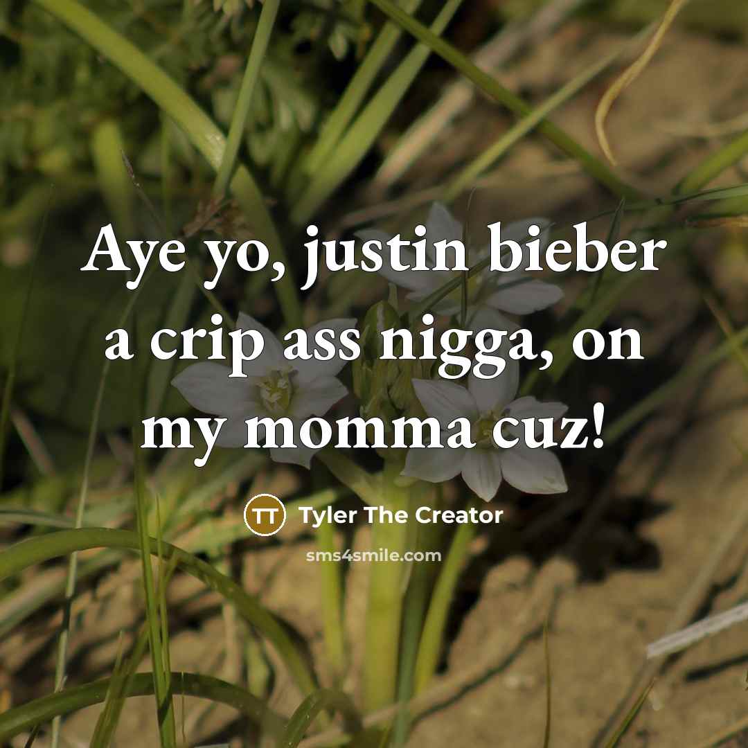 “Aye yo, justin bieber a crip ass nigga, on my momma cuz!” quote by Tyler The Creator