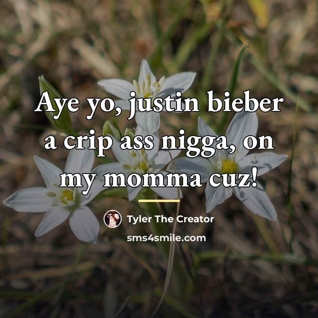 “Aye yo, justin bieber a crip ass nigga, on my…” quote by Tyler The Creator