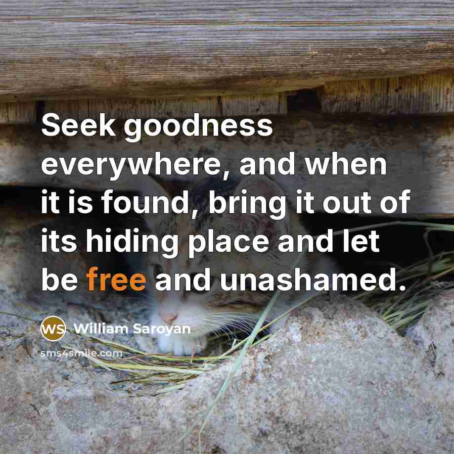 “Seek goodness everywhere, and when it is found, bring it…” quote by William Saroyan