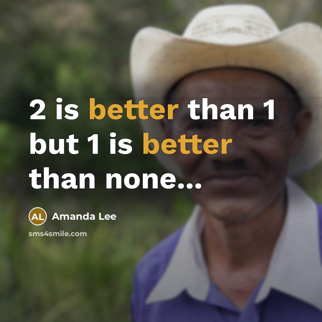 “2 is better than 1 but 1 is better than none...” quote by Amanda Lee