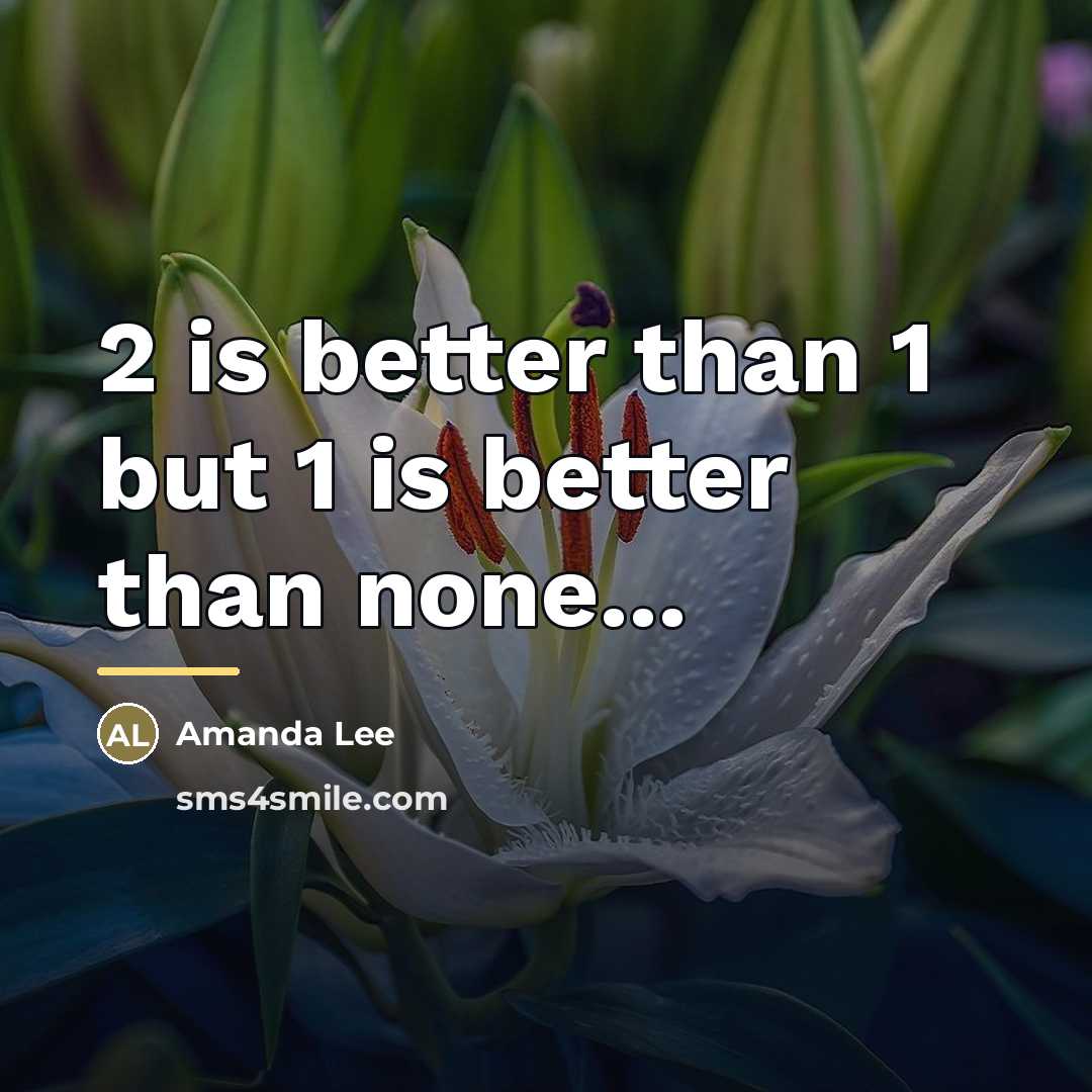 “2 is better than 1 but 1 is better than…” quote by Amanda Lee